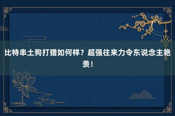 比特串土狗打猎如何样？超强往来力令东说念主艳羡！