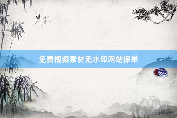 免费视频素材无水印网站保举