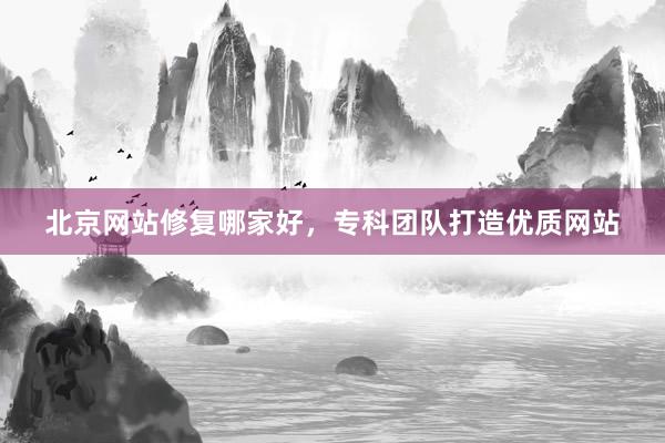 北京网站修复哪家好，专科团队打造优质网站