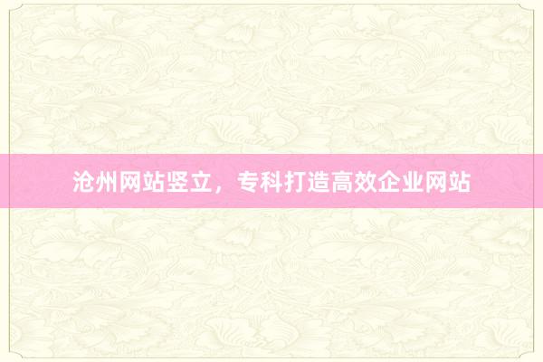 沧州网站竖立，专科打造高效企业网站