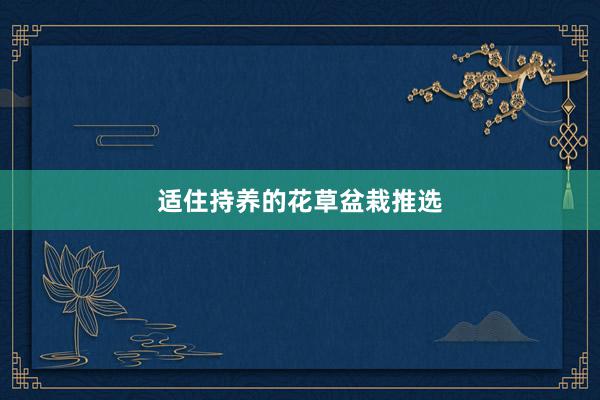 适住持养的花草盆栽推选
