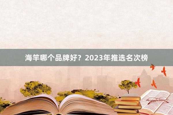 海竿哪个品牌好？2023年推选名次榜