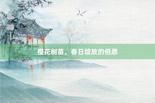 樱花树苗，春日绽放的但愿